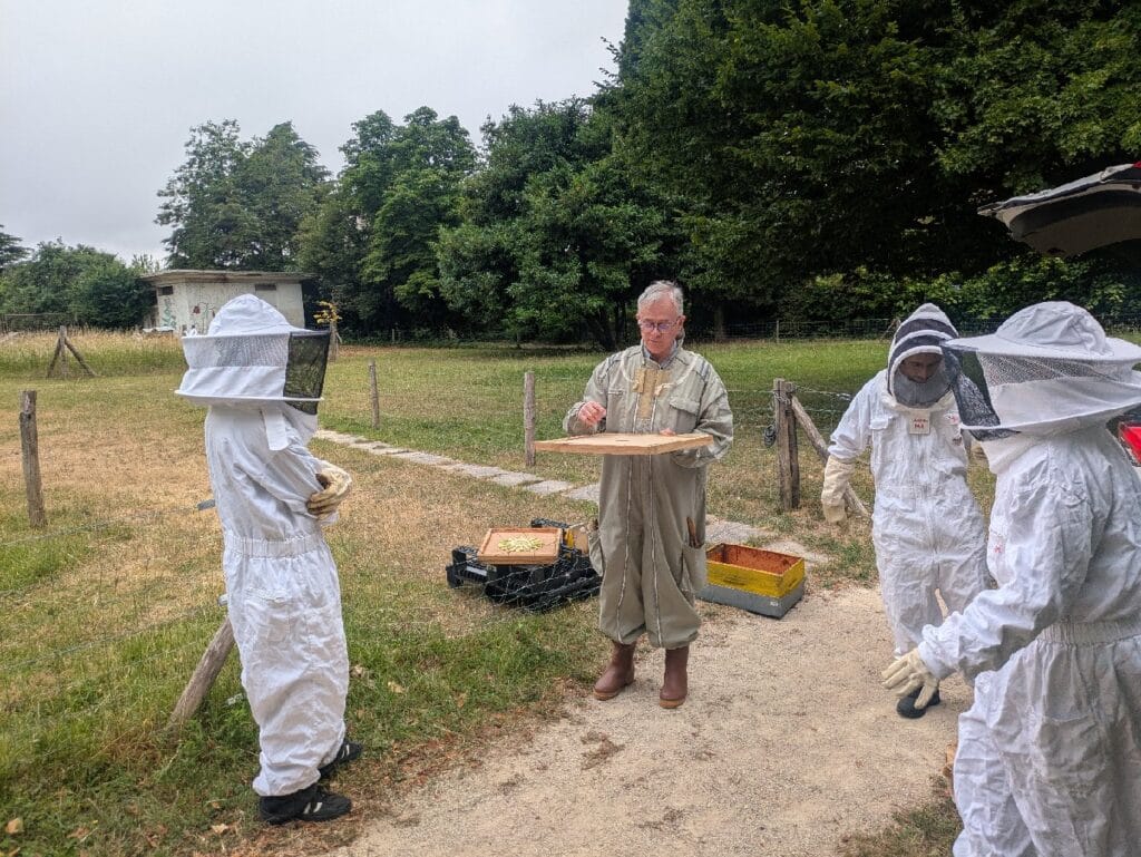 Dernière séance d'apiculture de l'année 2025 ! 1 APICULTURE 2025 1