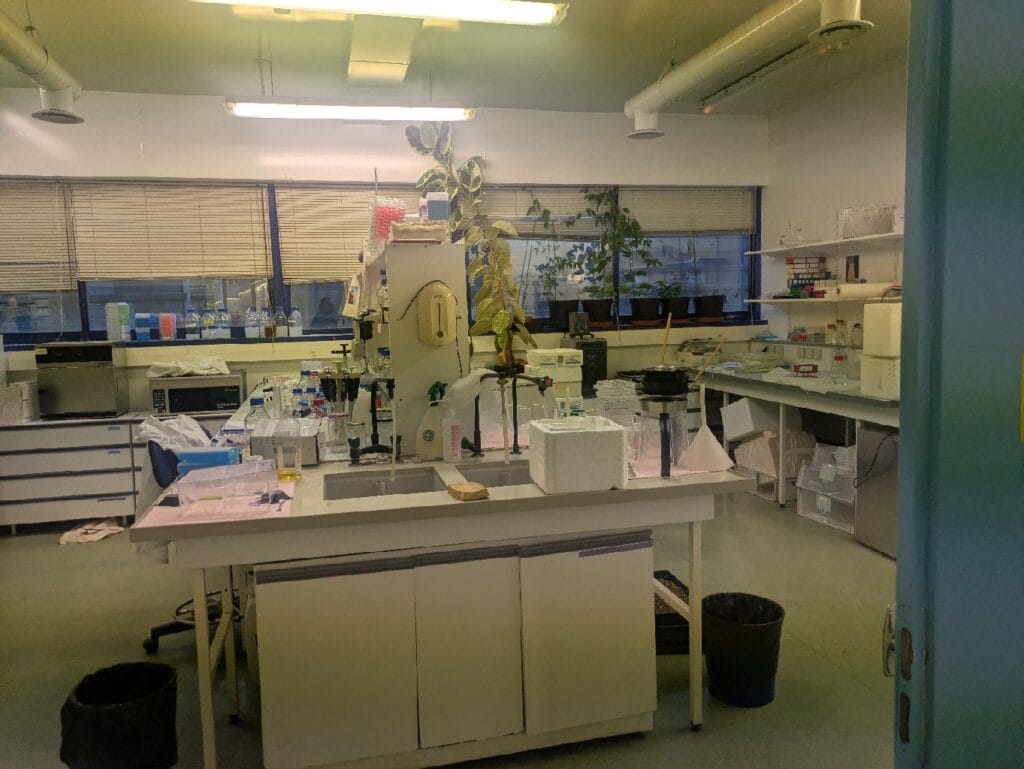 Sortie « Des Plantes et des Hommes » avec des élèves de spécialité SVT en terminale 4 visite 1