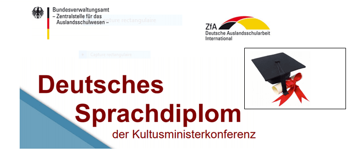 REMISE DES DIPLÔMES DE CERTIFICATION ALLEMANDE DSD1 2025 1 Capture logo certification article 1