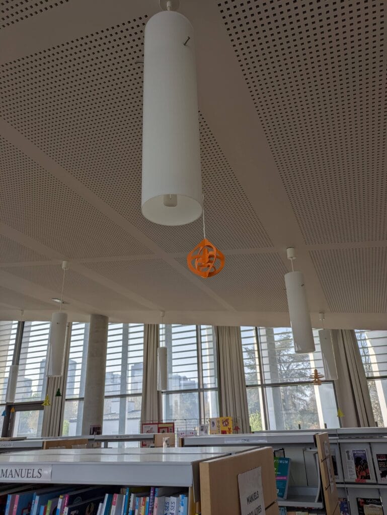 NOUVEL AN CHINOIS 6 1