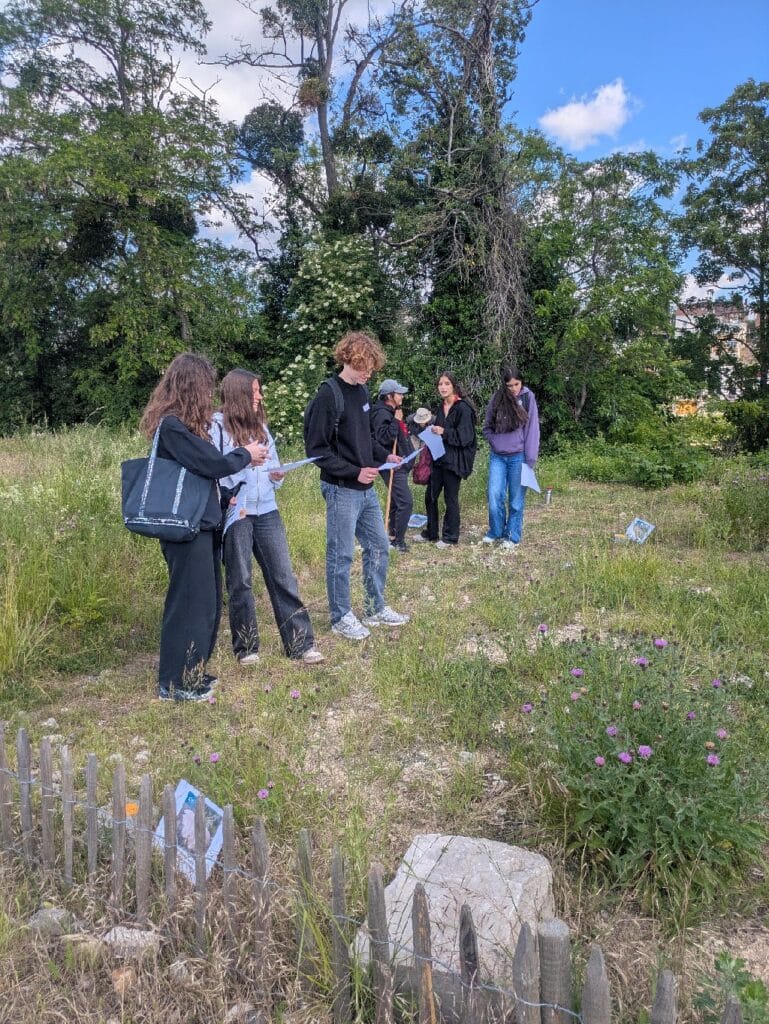 Une sol'ution : protégeons les sols ! 13 Image 1 29