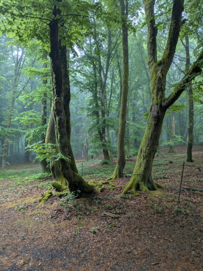 IMG 20260506 WA0022
