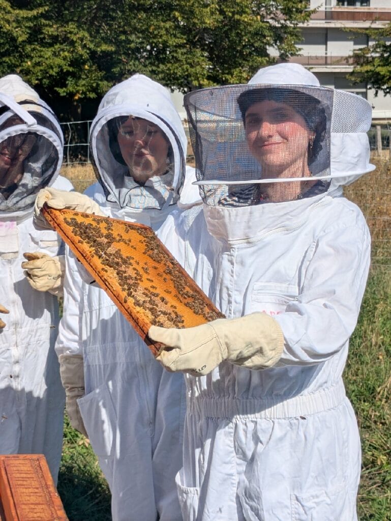 Miel in Descartes 2026 ! 2 apiculture 3
