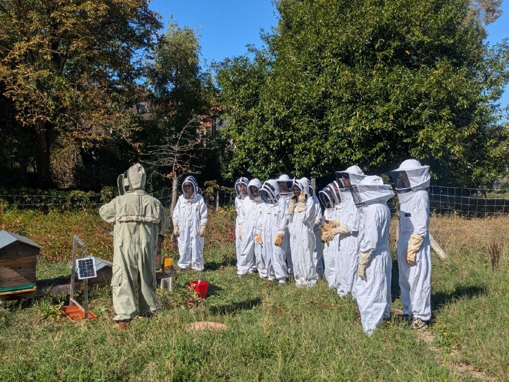 Miel in Descartes 2026 ! 4 apiculture1