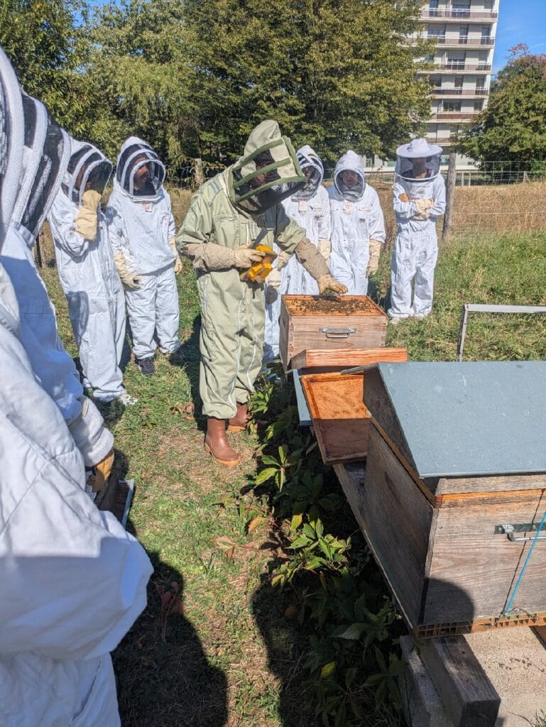 Miel in Descartes 2026 ! 3 apiculture2